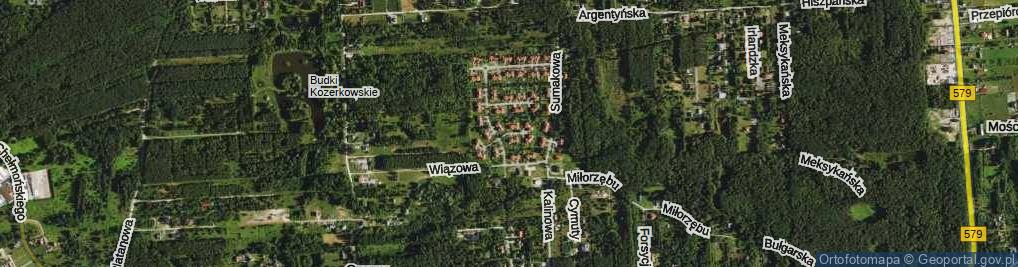 Zdjęcie satelitarne Malwowa ul.